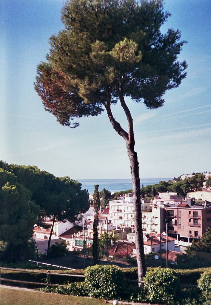 BELOMO Agat 18K: Tiny Russian Plastic Camera · Lomography
