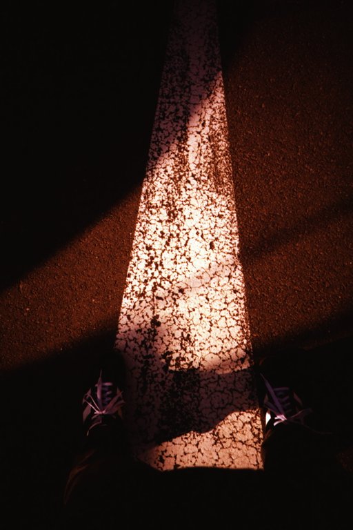 Fuji Sensia 100: Surprising When Cross Processed