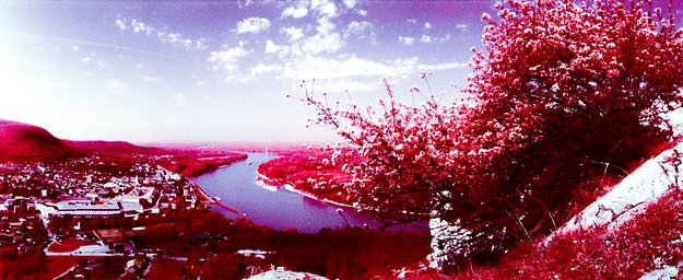 カメラ: Widelux F8 · Lomography