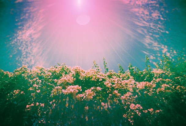 LomoMission: Perfect Imperfections 