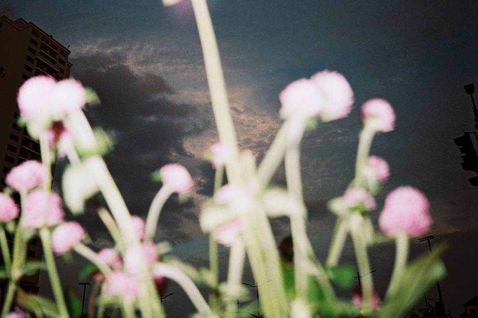 照片来自 须臾 使用 Lomo MC-A 135 全自动随拍胶片相机 与 Lomography Color Negative ISO 400 135 彩色负片胶卷 拍摄