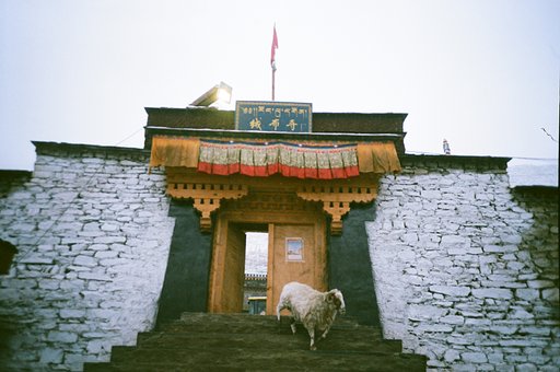 Around the World in Analogue: Tibet, China