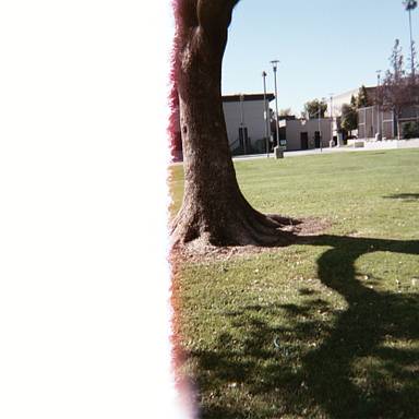 double-negative