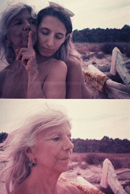 Il Mondo Onirico delle Fotocamere Diana: Tutte le Foto di Wild Romagna