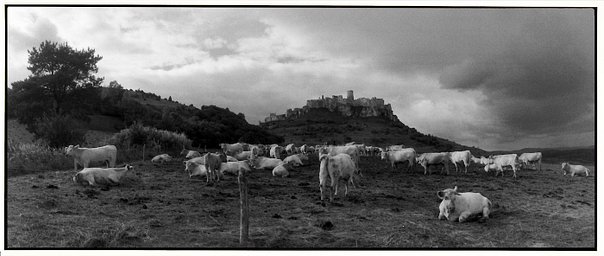 Appareil Photo Panoramique Horizon 202 - 35 Mm - Noir - Occasion