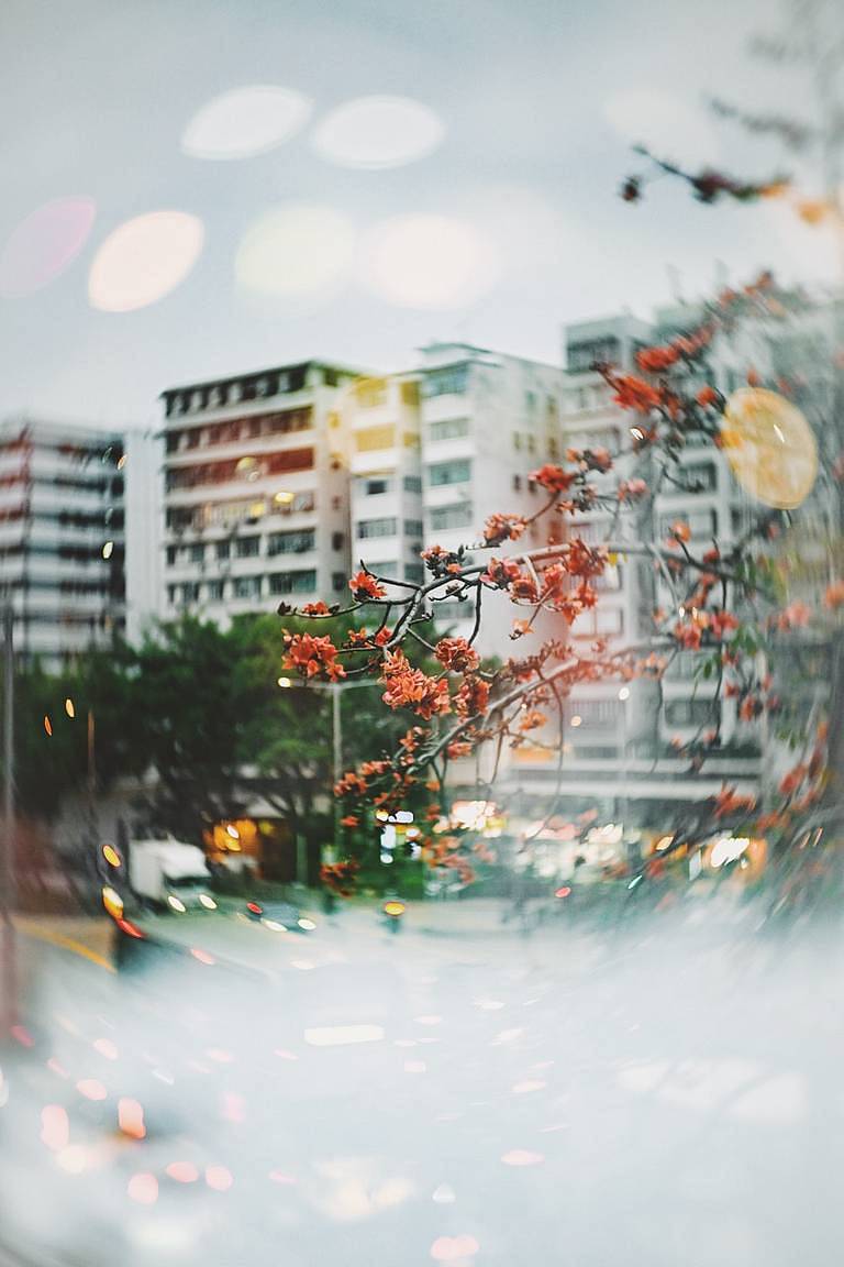 【New Petzval 55mm f/1.7 MKII 匹兹伐旋焦无反艺术镜头】摄影师 Kevin @vin.coemgenus：城市中温暖和冰冷的温度，我都想好好留住
