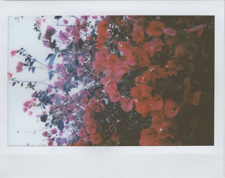 © Vanessa Gonzalez