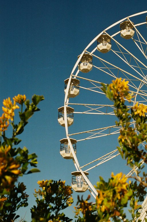 LomoHome de la semaine : @enguerrand