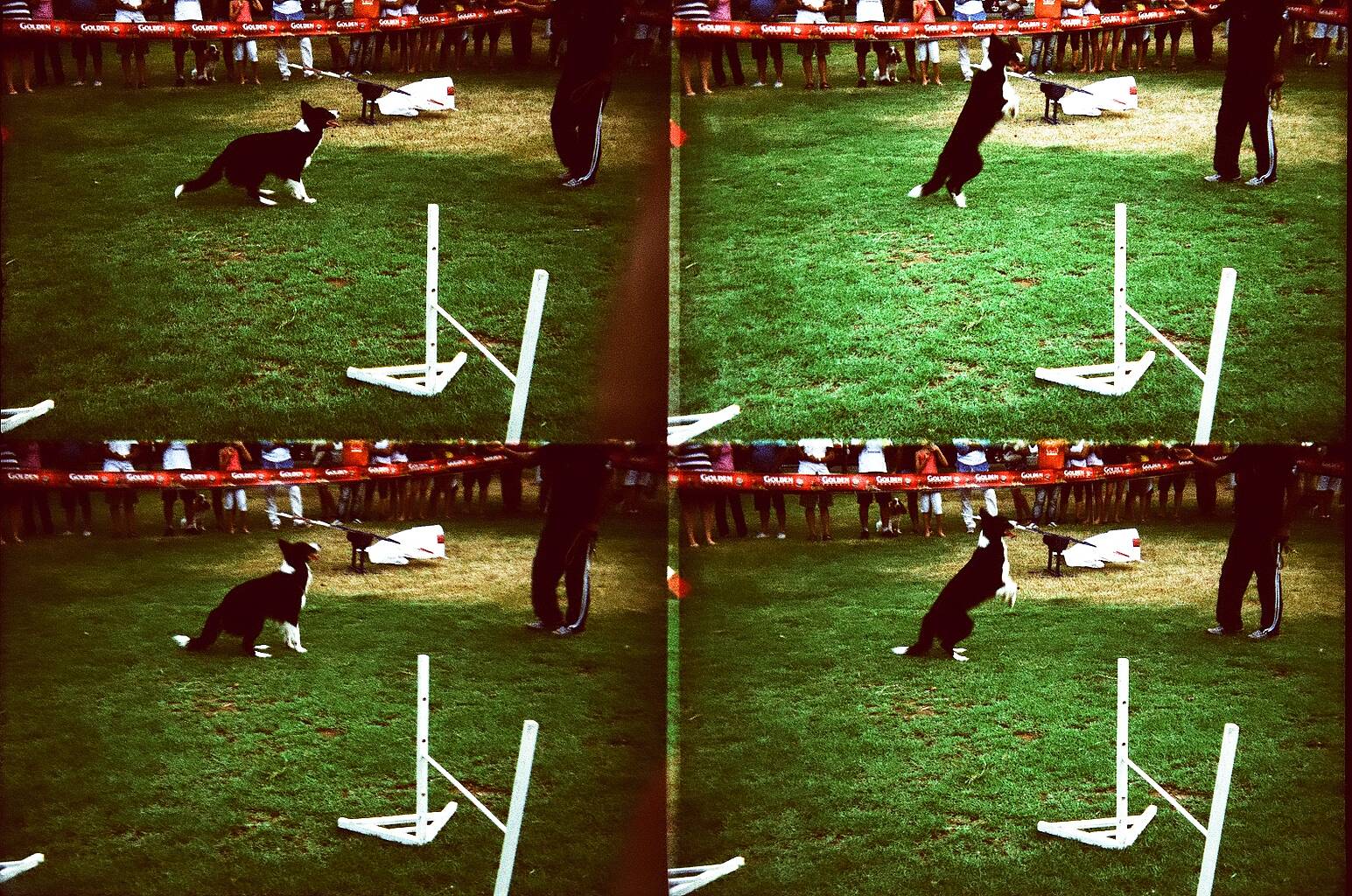 Appareil Photo Vintage RWE Action Sampler 4 Objectifs - 35 Mm, Noir, Années 90 (neuf Sans Boîte)