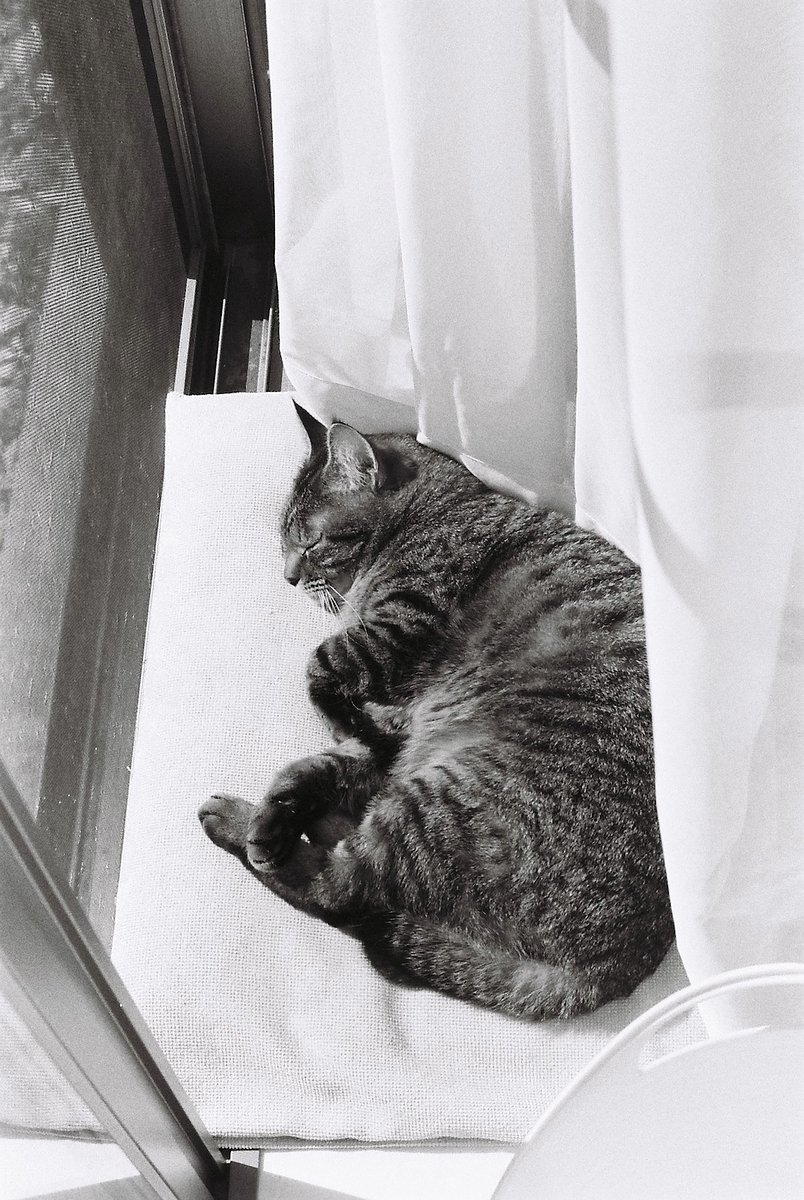 Film: Fuji Neopan Presto 400 Expired · Lomography