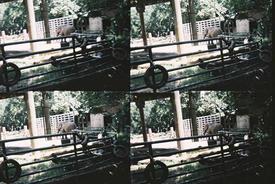 ActionSampler Clear 四格胶片相机 + LomoChrome Metropolis ISO 100–400 135 大都会胶卷－2021 新配方