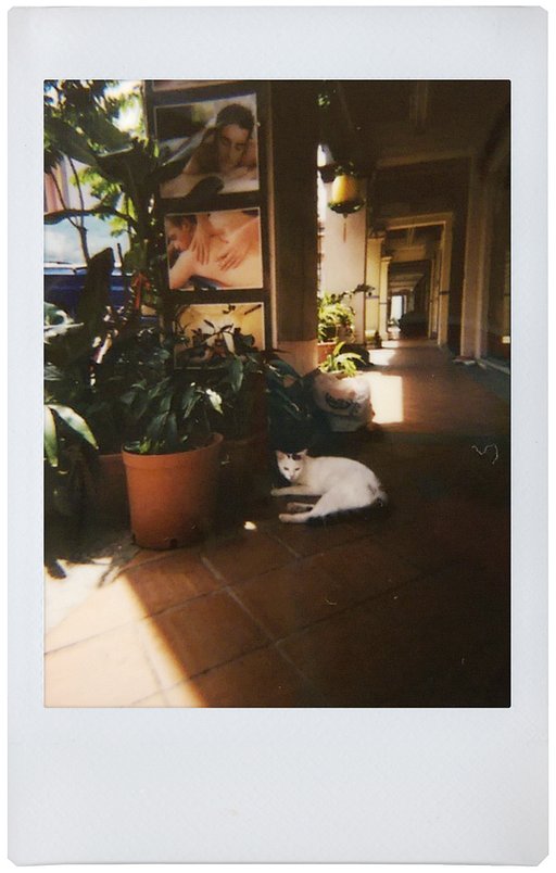 【 Lomo'Instant 】最溫暖窩心的咻咻熊