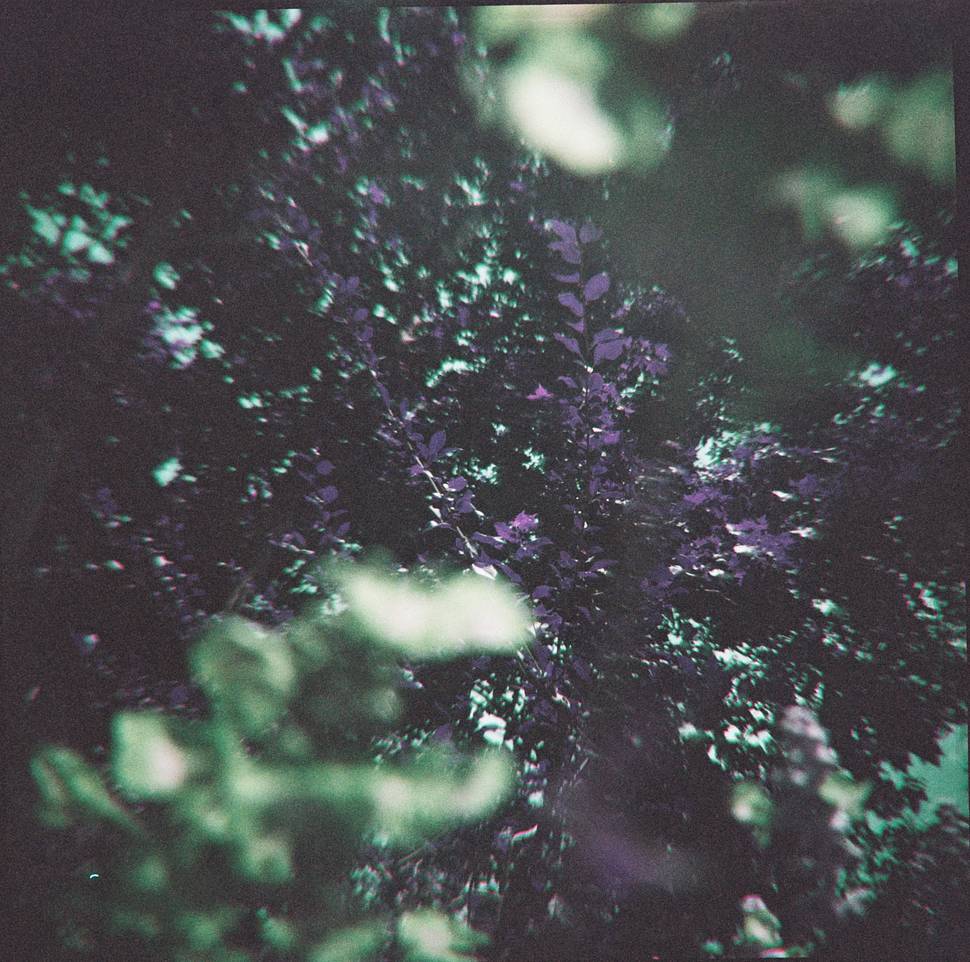 Diana F+ 120 戴安娜胶片相机连闪光灯套装 + LomoChrome Purple ISO 100–400 120 紫调负片－ Pétillant 汽泡特別版