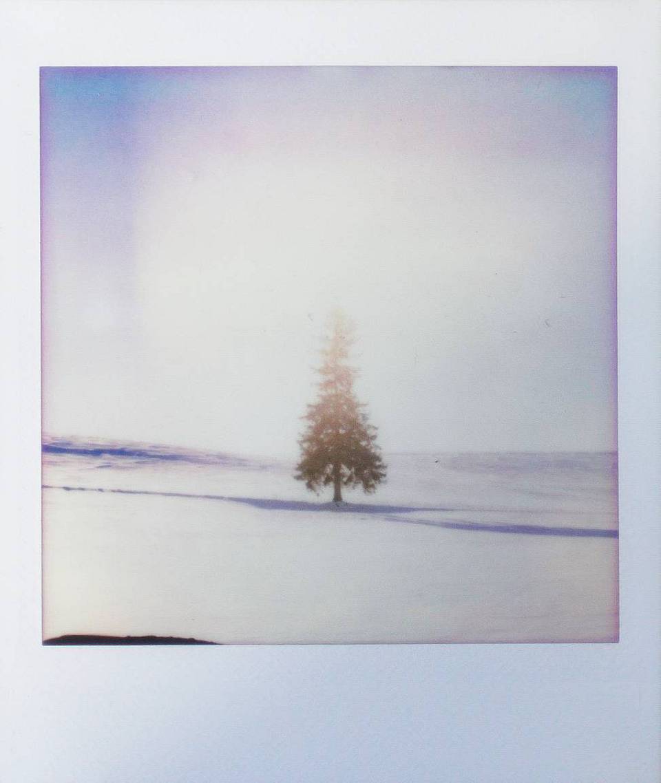 @fotokey_｜ Lomo'Instant Square 方形拍立得相机｜主题：蓝色很冷