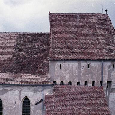 sienna-arsa