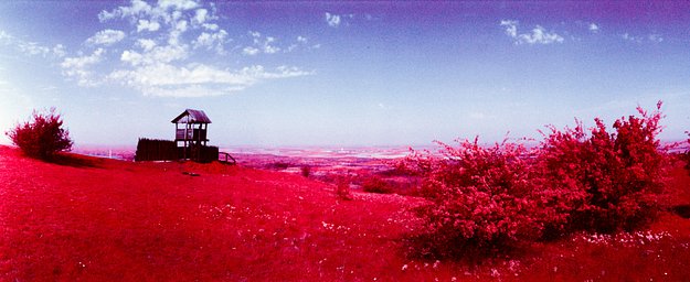 Camera: Widelux F8 · Lomography