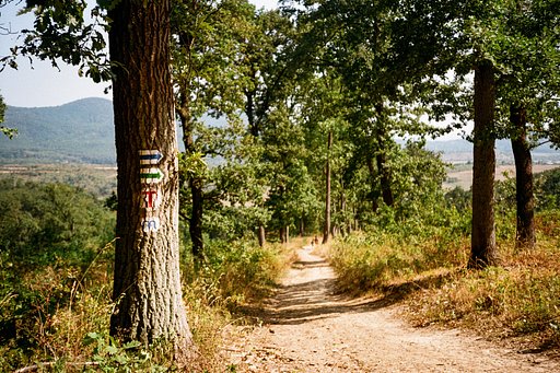 Around the World in Analogue: Hiking Through Hungary