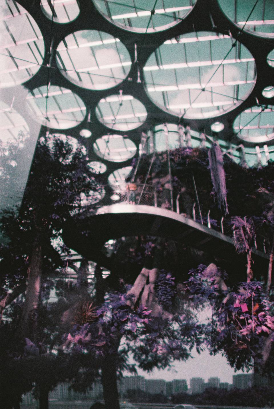上海 × 太原｜© 王络、每天都吃糖｜Lomography LomoChrome Purple ISO 400 135 紫调负片胶卷