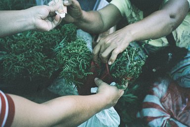 Camera: Olympus MJU ii 115 VF · Lomography