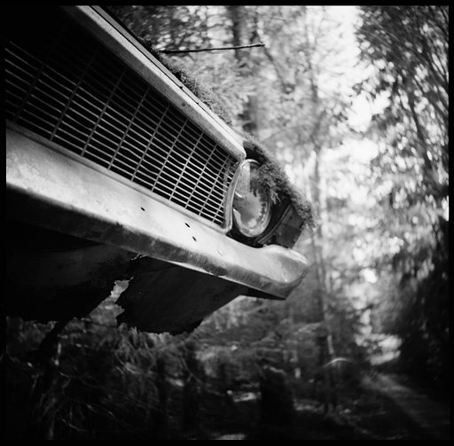 The World According to Herr Willie – The Car Cemetery of Båstnäs