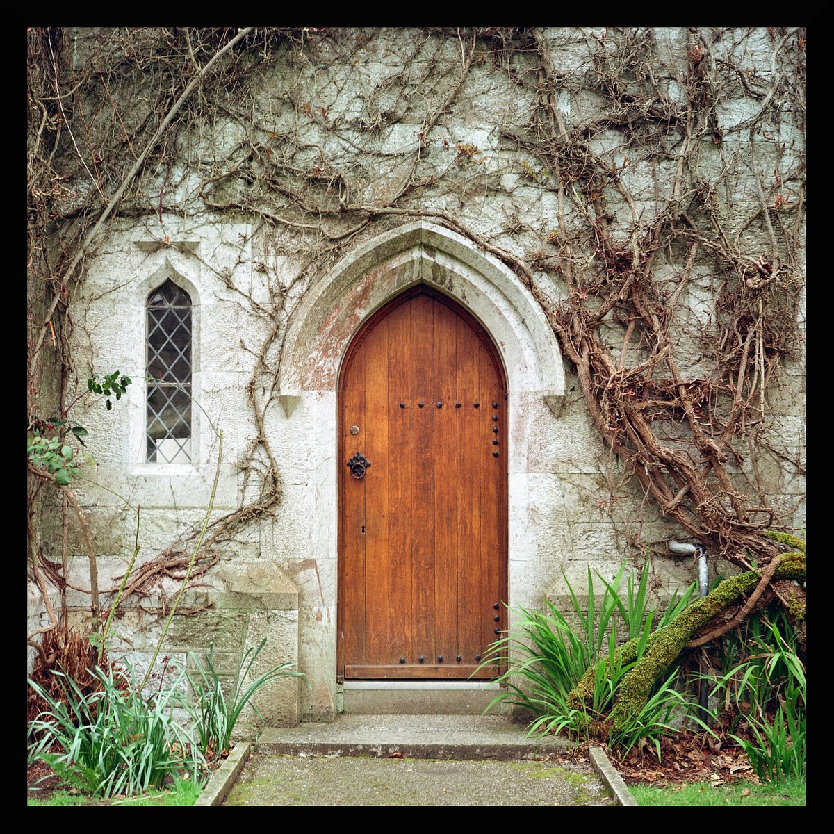 カメラ: Pentacon Six TL · Lomography