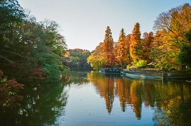 Camera: Canon Autoboy WT28 · Lomography