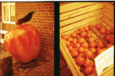 カメラ: Olympus Pen EF · Lomography