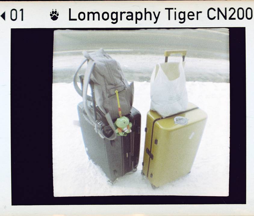 © 炉膛 | Diana Byby 110 胶片相机 &amp; Lomography Color Tiger 200 彩色负片