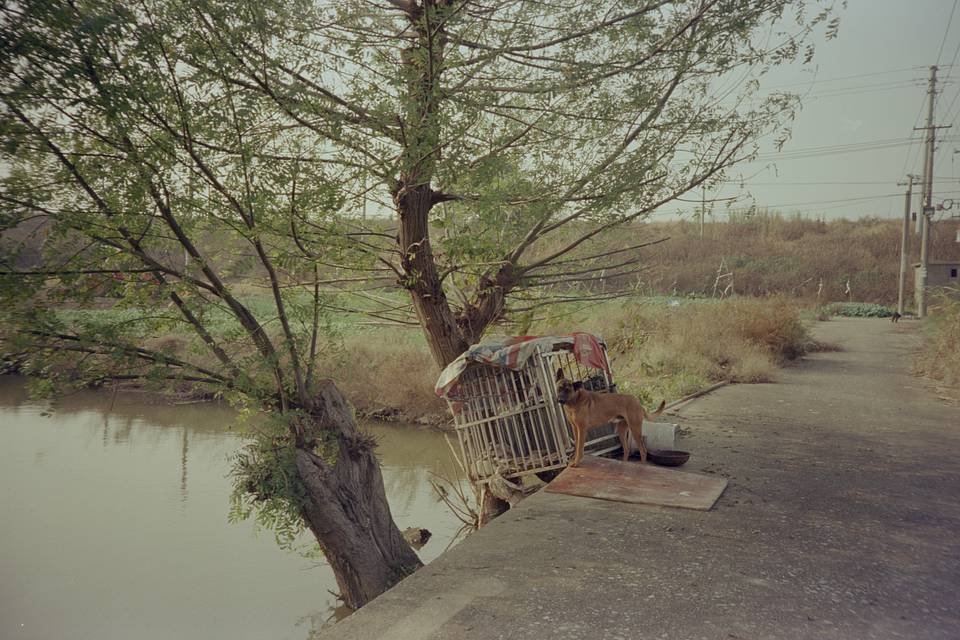 © 乐子毅 | Lomo LC-A Minitar-1 2.8/32 镜头