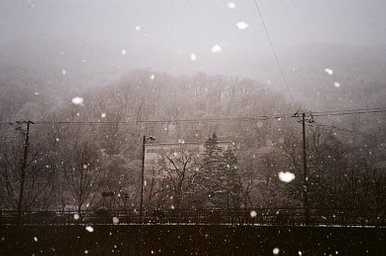 カメラ: Minolta Capios 20 · Lomography