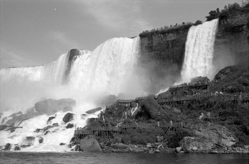 A Comprehensive Guide to DIY Black and White Film Developing
