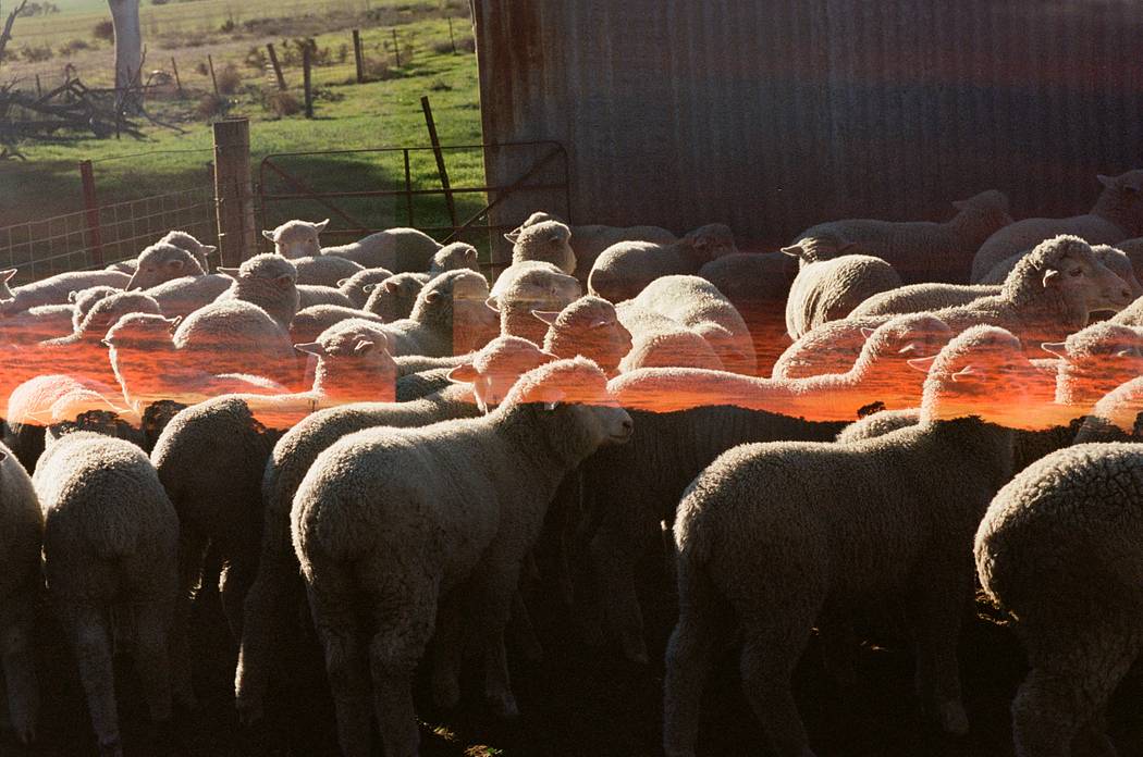 Photos by mallee-boy, montagu