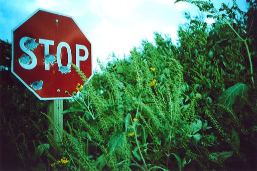 Back to Basics: Stop It Up, Stop It Down