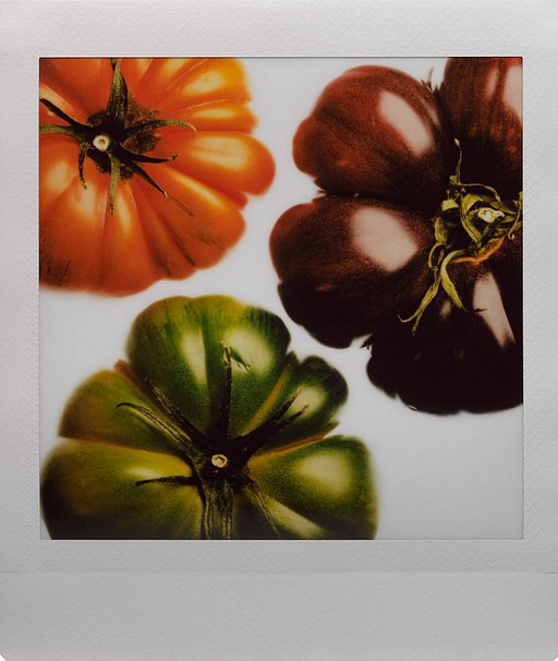 Instant Still Life