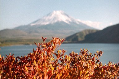 カメラ: Ricoh Hi-Color 35 · Lomography