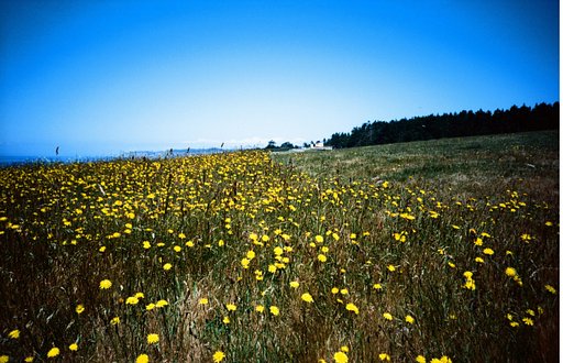 The Beauty of Ektar Pushed + 2 Stops