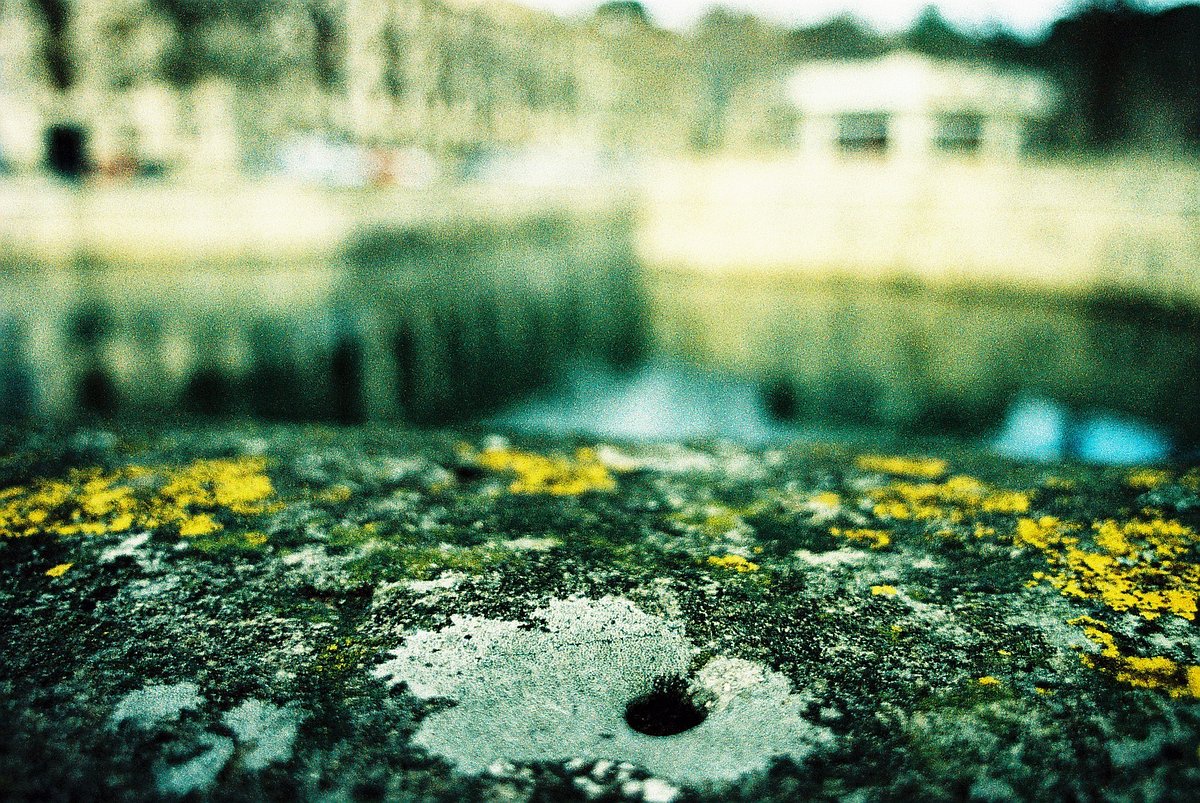 作例付き　MINOLTA AF 24mm F2.8 管mpr 1200x803x1.jpg?auth=