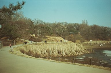 カメラ: Yashica zoomtec 90 · Lomography