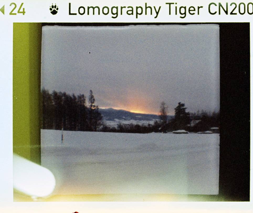 © 炉膛 | Diana Byby 110 胶片相机 &amp; Lomography Color Tiger 200 彩色负片