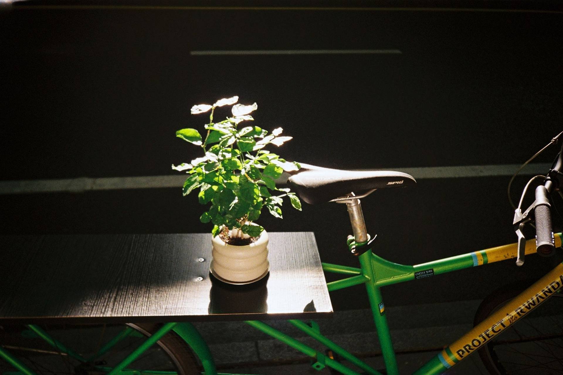 照片来自 须臾 使用 Lomo MC-A 135 全自动随拍胶片相机 与 Lomography Color Negative ISO 400 135 彩色负片胶卷 拍摄
