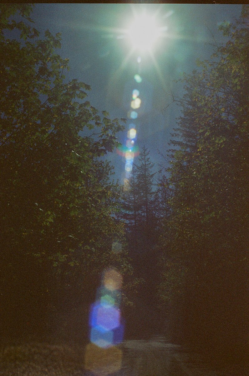 #28070797 — lowlightfilm · Lomography
