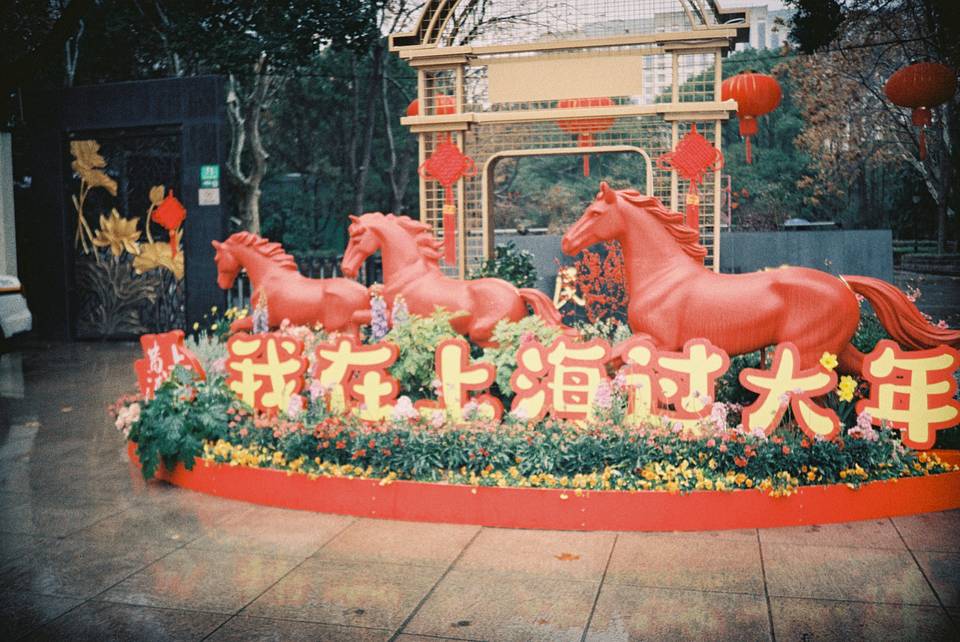© 黄媛媛 | 使用 Lomo MC-A 135 全自动随拍胶片相机 - 经典银 &amp; LomoChrome Classicolor ISO 200 135 经典版彩色负片 拍摄