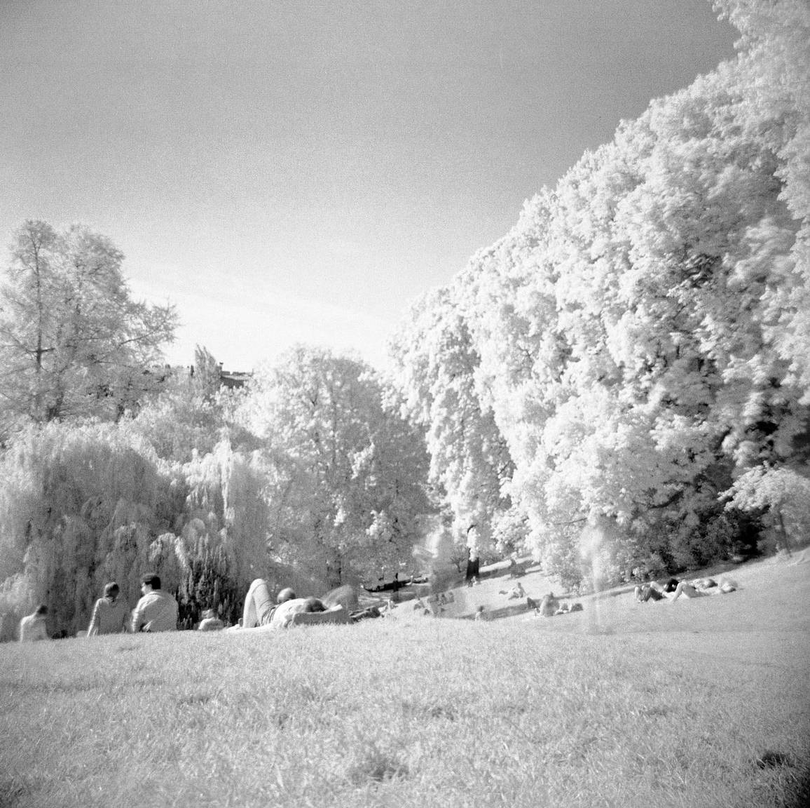 Rollei Pellicola Infrarosso 400 ISO 120 - Bianco/Nero, Sensibilità Fino A 820nm, Effetti AURA E Alta Nitidezza Per Scansione