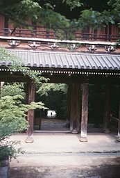 カメラ: Fujica Compact Deluxe · Lomography