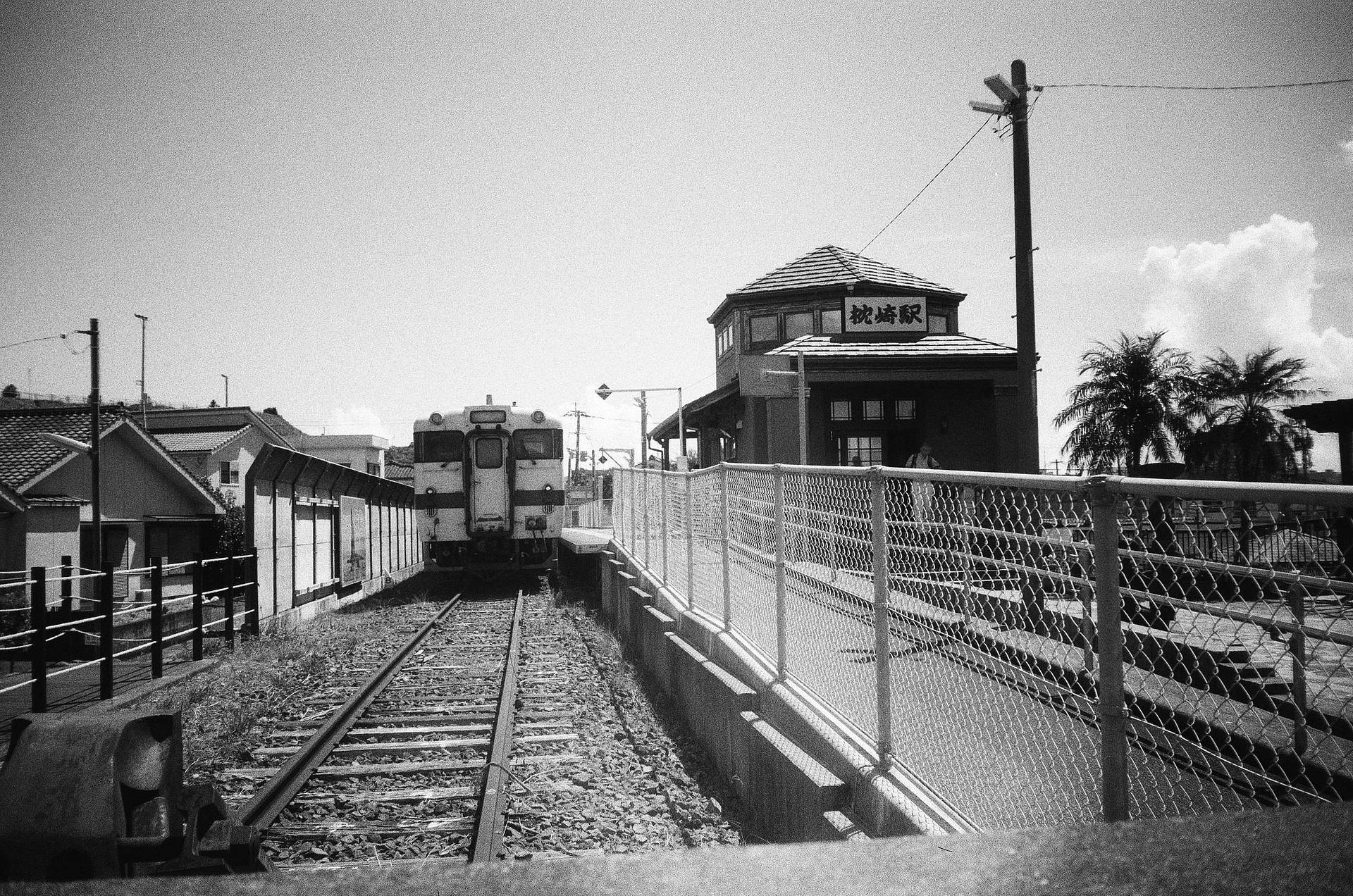 Photos by Misa Imai | Lomo MC-A 135 全自动随拍胶片相机 | Lomography B&amp;W Lady Grey ISO 100 135 黑白胶卷