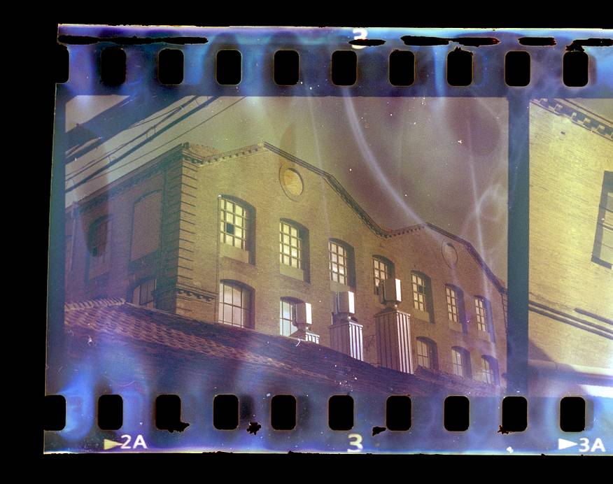 照片来源galwachs, arthouse, agrimony, lalouve