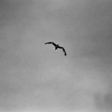 filmphotography