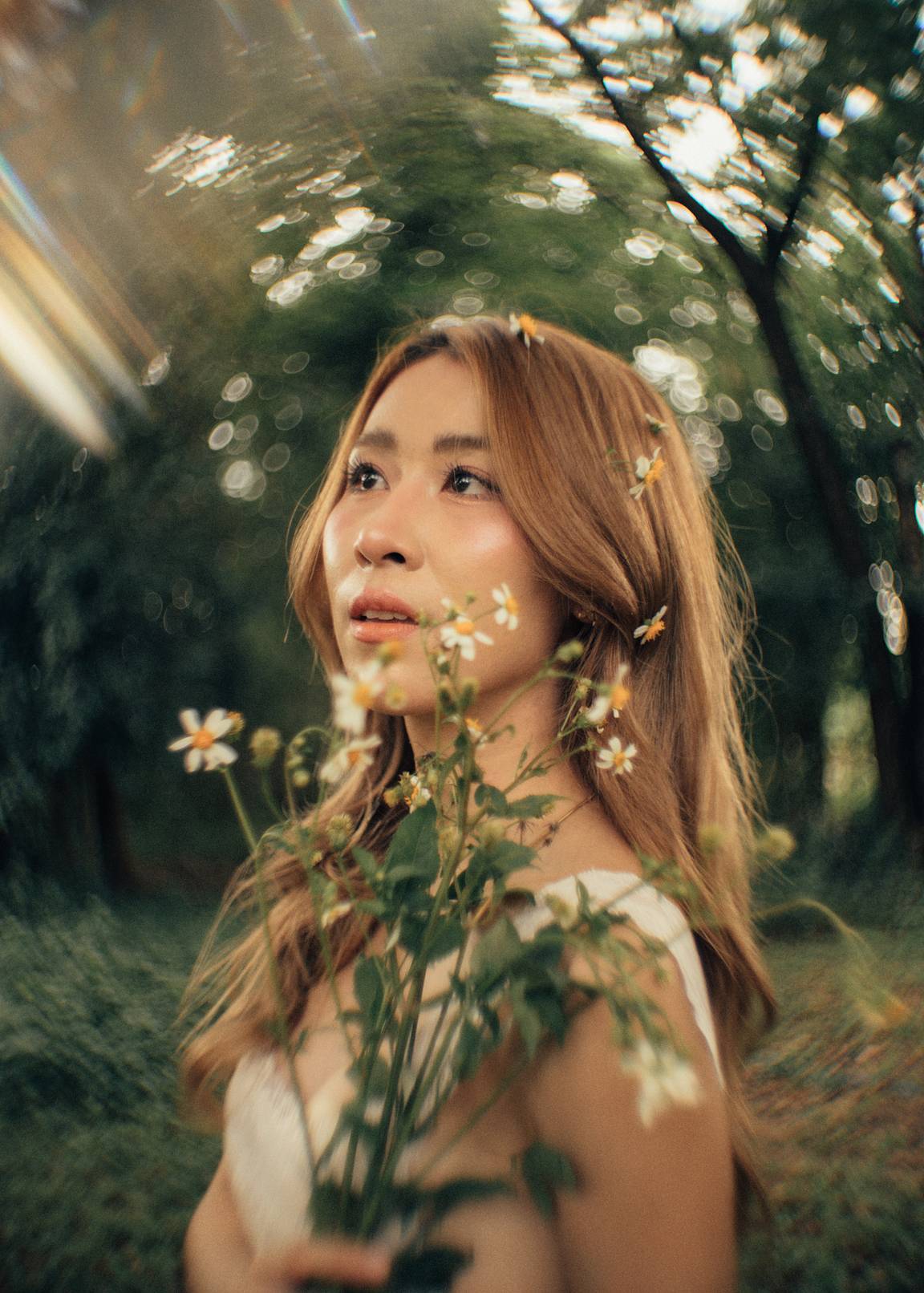 Art Lens · Lomography