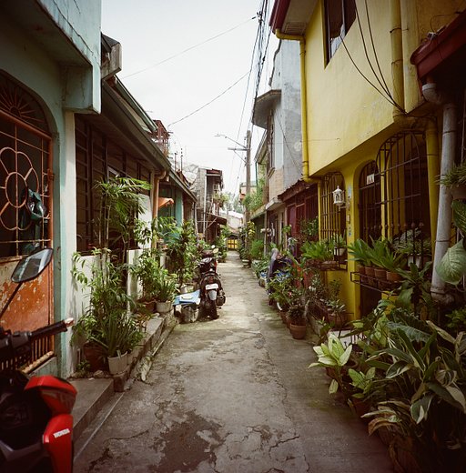 Writer's Notes: Trying 120 Film for the First Time