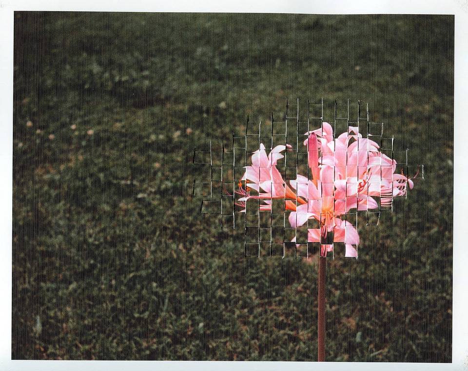 Photos by George Oeser